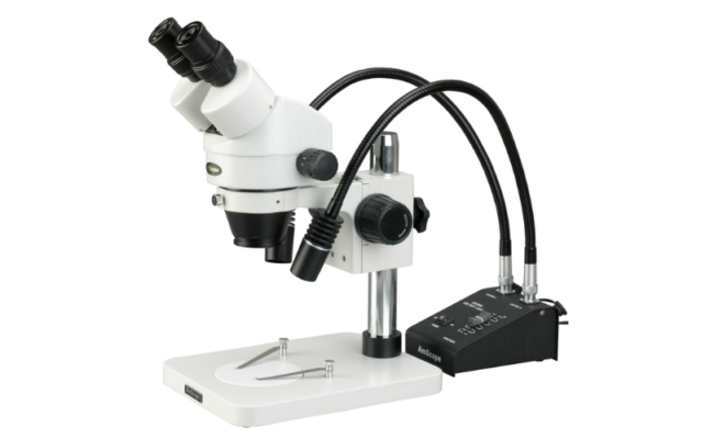 Mengungkap Keindahan Detail dengan Mikroskop Stereo